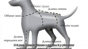 Вязание спицами комбинезона для мини йорка мальчика