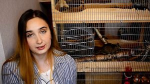 Чем кормить дегу? + У Дегу появилась плешь