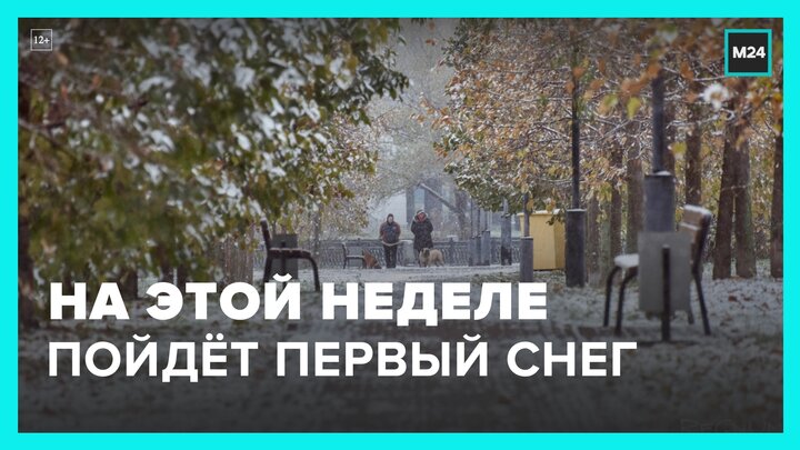 Синоптики спрогнозировали первый снег в Москве на этой неделе - Москва 24