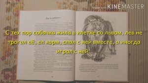 Л.Н. ТОЛСТОЙ 🦁 ЛЕВ И СОБАЧКА 🐶 (рассказ)