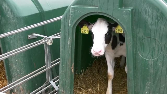 День работника сельского хозяйства и перерабатывающей промышленности смотреть онлайн