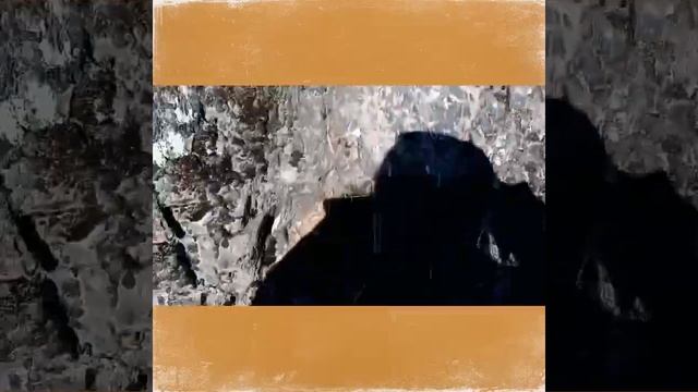 Алтай 2022/База отдыха/Цены/Аскат-деревня мастеров/Экстрим парк/Природа.