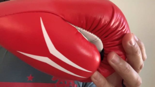 Adidas Speed Tilt 250 Boxing Gloves REVIEW- NOT BAD BUT BETTER CHOICES OUT THERE! смотреть онлайн