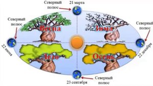Окружающий мир 2 класс, Перспектива, с.24-27, тема урока «Месяц и год»