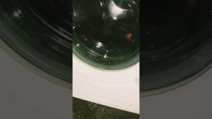 Как достать бельё из машинки, если она не сливает воду?
