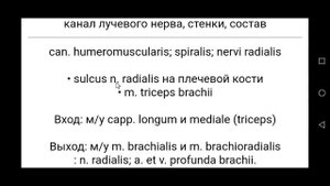 Подмышечная, плечевая, лучевая и локтевая артерии. Анатомия