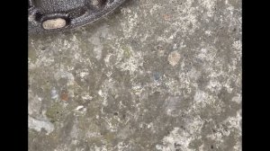 Масляный насос , причины неисправности . Течь, не работает коробка , стружка и т д .