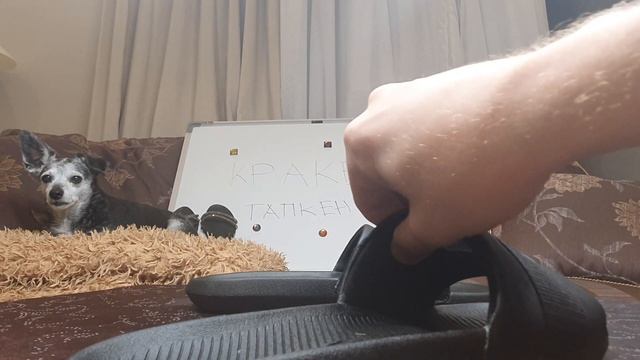 Тапкин сезон?обзор на тапки FILA Ultratouch Slide, PUMA Cool Cat Sport Men's Slides, LACOSTE смотреть онлайн