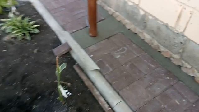 Как сделать отмостку своими руками за час из асбестовой трубы и брусчатк