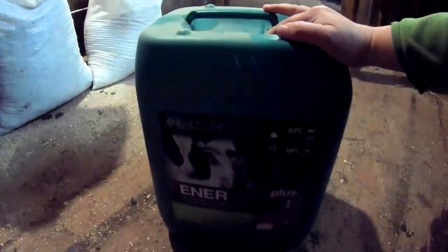 Правильное кормление и содержание коров молочного направления. Подготовка к отёлу нетеля. смотреть онлайн