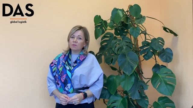 Обстановка в Дальневосточных портах_пробки на границе России и Китая_новые таможенные склады_DASLAB смотреть онлайн