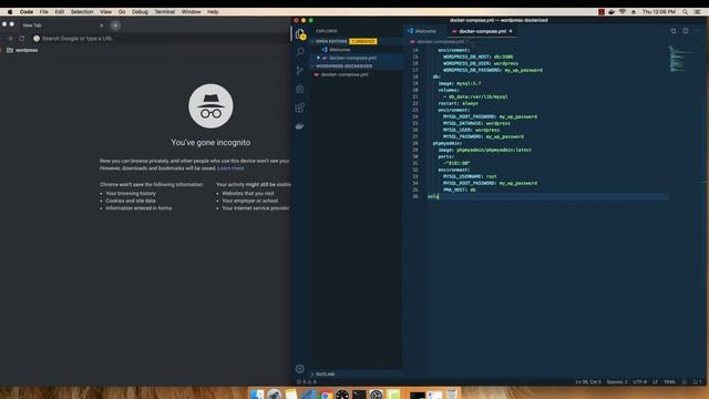 Set up WordPress with Docker for wordpress theme , plugin or rest api development 2019 : PART 3 смотреть онлайн