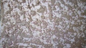 Декоративная  Штукатурка  Гротто своими руками.