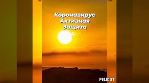 ?Защитная Матрица  Гаряева от коронавируса.