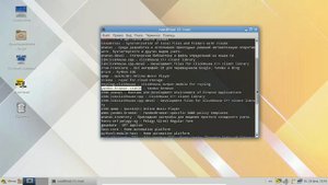 02 Управление приложениями в AltLinux