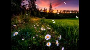 Слава Благов  лучшие песни