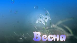 Футаж. Весна 25