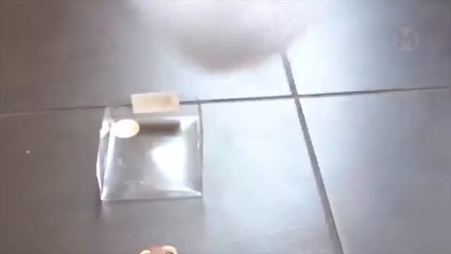 Никогда в Жизни не Покупайте Детям Эту Запрещенку Вещи! Топ 50 смотреть онлайн