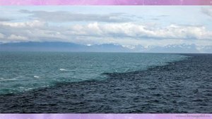 ПОЧЕМУ ВОДА В РЕКАХ ПРЕСНАЯ, А В МОРЕ СОЛЕНАЯ?