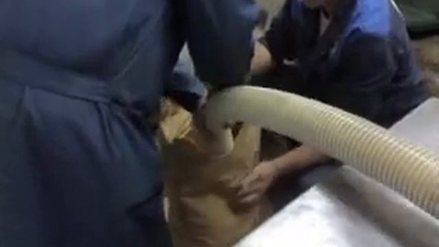 Мембранный порошковый насос смотреть онлайн