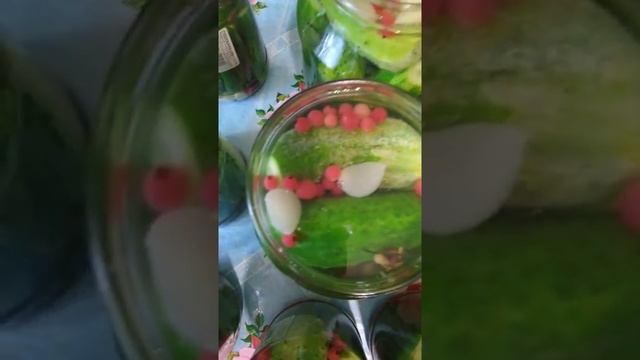 Огурцы домашние! смотреть онлайн