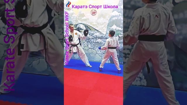 Каратэ Спорт Школа ДДС