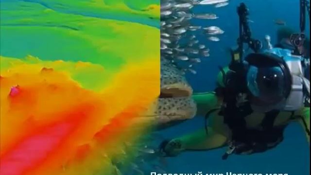 Южные моря России.  Черное море.  География 9 класс.