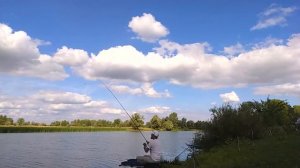 Обзор фидерных удилищ серии Team Allvega длинной 3.9 метра. Тесты 90, 120 грамм.