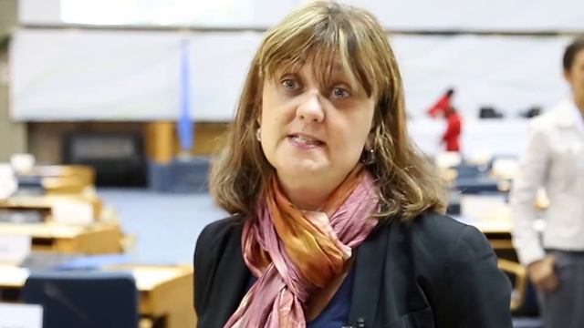 Понизова Ольга,  директор Центра по проблемам окружающей среды и устойчивого развития «ЭКО-Согласие