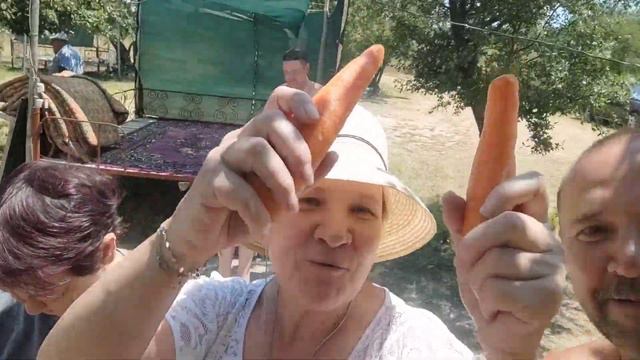 Православный проект за трезвый и здоровый образ жизни! смотреть онлайн