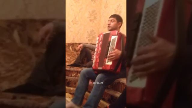 Хорошая даргинская песня. Муталим.