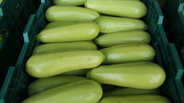 Использование препаратов Мегафол и Мастер 20.20.20. Фермерское хозяйство Дарница смотреть онлайн