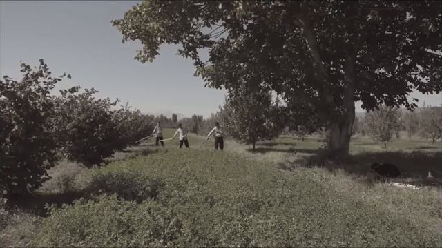 Предлагаю посмотреть фильм (Холодное солнце ) На реальных событиях!
