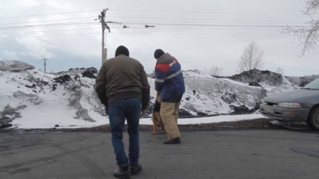 НО Вальтер. Кусаем рукавчик смотреть онлайн