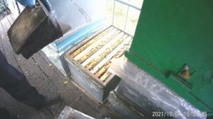 Сборка пчелиных гнёзд в зиму без закорма,осеннего наращивания пчелосемей.2 семьи  в улье на  8 рам.