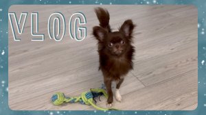 VLOG 21.02.2024 Не переживайте! У меня уже все хорошо!