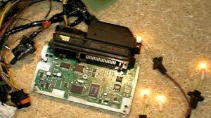 Лада КАЛИНА залило мозги