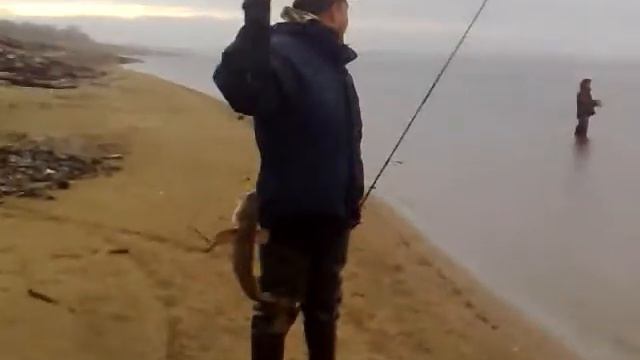 Сайгатино 08.10.09 смотреть онлайн