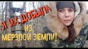 Коп 2019. Я добыла их из мерзлой земли!