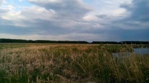 едем на озеро на рыбалку,варим уху, жарим мясо  шашлычок