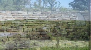 село точильное смоленского района алтайского края