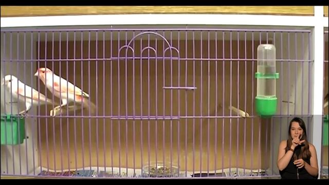 Уроки настоящей дружбы .День защиты детей смотреть онлайн