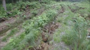 Урал на бездорожье! Выбираемся с верхов Яйвы.