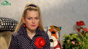 Узамбарская фиалка: самое важное об уходе и размножении - 7 дач