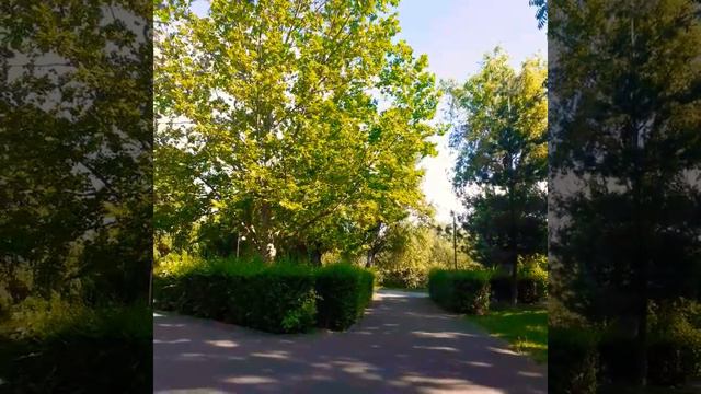 SONET 123 | William SHAKESPEARE | [123/154] смотреть онлайн