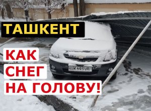 ⚡️❄️ В Ташкенте из-за внезапного снега обрушились крыши, навесы и деревья