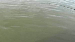 Рыбалка в Ташаре (д. Обская) или как Игорь прое...ал щуку