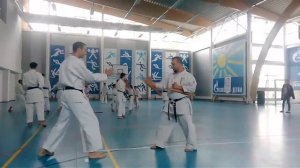 Practice Ryukyu Kobudo with Tonfa