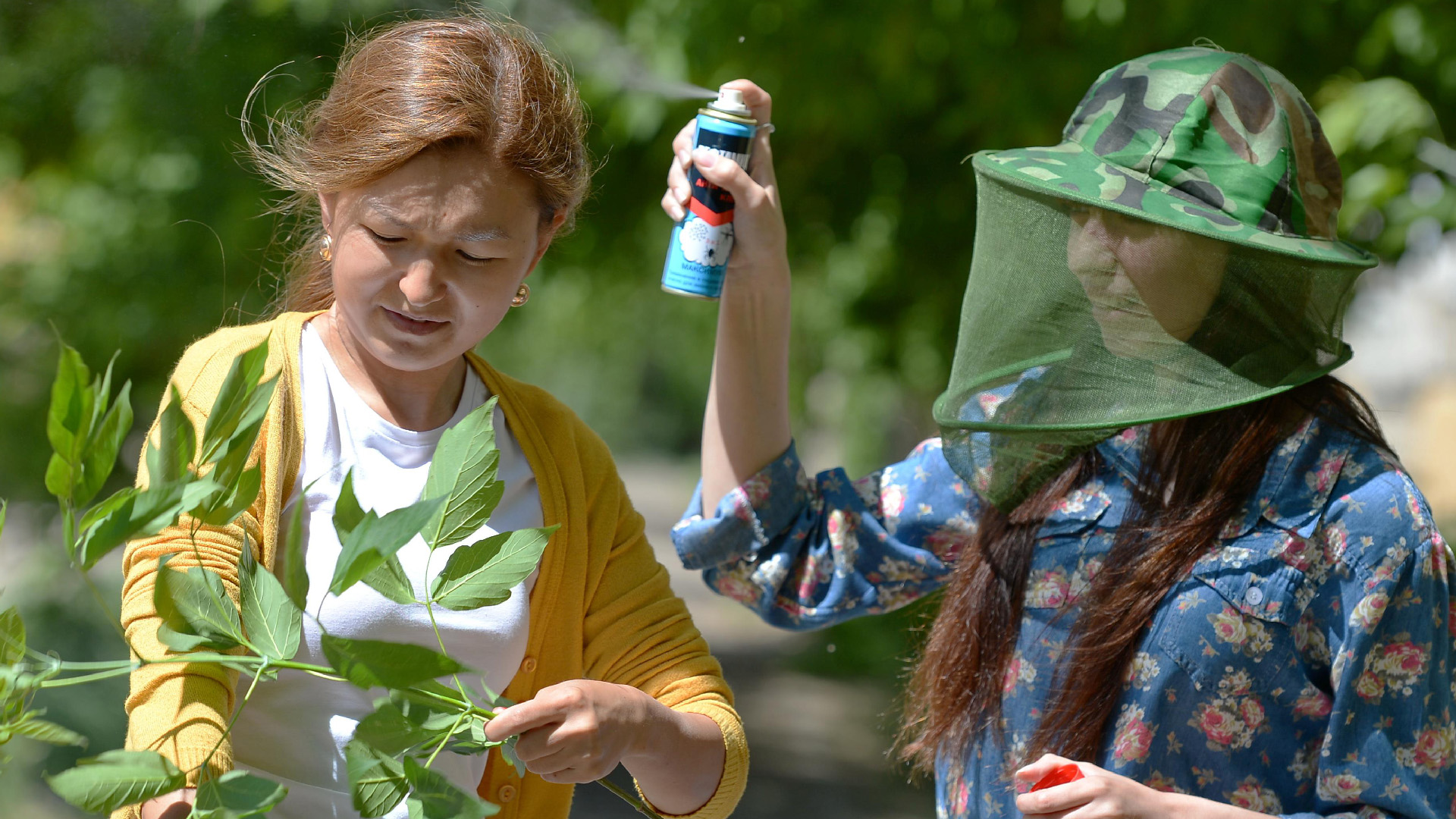 Как защититься от мошки на огороде. Борьба с мошками. Защищаемся от насекомых.