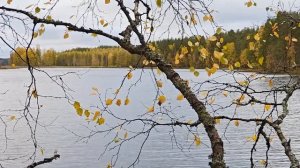 Осень осени. Озеро Puruvesi, East of Finland